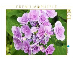 CALVENDO Puzzle Plaque Hydrangea 'You and Me Romance 1000 Pieces 64 x 48 cm from Gisela Kruse