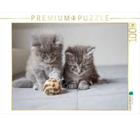CALVENDO Puzzle Playtime 1000 Pieces 64 x 48 cm from Sugarsweet - Photo
