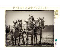CALVENDO Puzzle Plowing with three horses | 1000 pieces, finished size 25.2 × 18