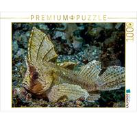 CALVENDO Puzzle Poisson à Bascule 1000 Pieces 64 x 48 cm from Dieter Gödecke