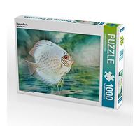 CALVENDO Puzzle Poisson Discus 1000 Pieces 64 x 48 cm from Liselotte Brunner-Klaus
