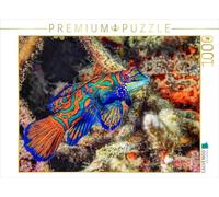 CALVENDO Puzzle Poisson Mandarin 1000 Pieces 64 x 48 cm from Dorothea Oldani