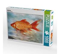 CALVENDO Puzzle Poisson Rouge 1000 Pieces 64 x 48 cm from Liselotte Brunner-Klaus