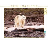 CALVENDO Puzzle Polar bear | 1000 pieces, finished size 25.2 × 18.9 in (64 × 48