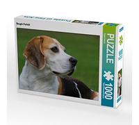 CALVENDO Puzzle Portrait de Beagle 1000 Pieces 64 x 48 cm from Sista-Tierfoto