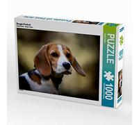 CALVENDO Puzzle Portrait de Beagle 1000 Pieces 64 x 48 cm from Sonja Teßen