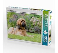 CALVENDO Puzzle Portrait de Briard 1000 Pieces 64 x 48 cm from Sonja Teßen