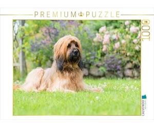 CALVENDO Puzzle Portrait de Briard 1000 Pieces 64 x 48 cm from Sonja Teßen