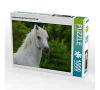 CALVENDO Puzzle Portrait de l'étalon lipizzan Pluto Darina 1000 Pieces 64 x 48 cm from Sista-Tierfoto