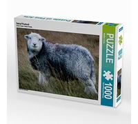 CALVENDO Puzzle Portrait de Mouton 1000 Pieces 64 x 48 cm from Martina Cross