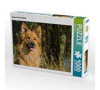 CALVENDO Puzzle Portrait de Renard Harzer 1000 Pieces 64 x 48 cm from Sista-Tierfoto