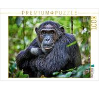 CALVENDO Puzzle Portrait d'un chimpanzé Sauvage, Pan Troglodytes, Parc National de Kibale, Portail Fort, Ouganda, Afrique 1000 pièces, Taille de la Pose 64 x 48 cm, Photo de Puzzle Photo par