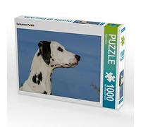CALVENDO Puzzle Portrait d'un Dalmatien 1000 Pieces 64 x 48 cm from Sista-Tierfoto