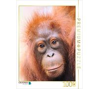 CALVENDO Puzzle Portrait d'un Jeune Animal 1000 Pieces 48 x 64 cm from Elmar Weiß