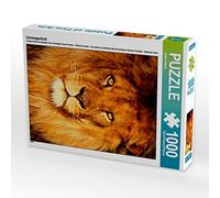 CALVENDO Puzzle Portrait d'un Lion 1000 Pieces 48 x 64 cm from Heike Hultsch