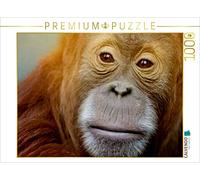 CALVENDO Puzzle Portrait d'un Orang Utan 1000 Pieces 64 x 48 cm from Heike Hultsch