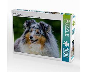 CALVENDO Puzzle Portrait d'un Sheltie 1000 Pieces 64 x 48 cm from Sista-Tierfoto