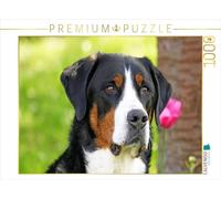 CALVENDO Puzzle Portrait Großer Schweizer Sennenhund 1000 Teile Puzzle quer 1000 Pieces 64 x 48 cm from SchnelleWelten