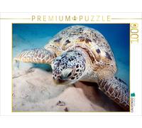 CALVENDO Puzzle Portrait of a Turtle | 1000 pieces, finished size 25.2 × 18.9 in