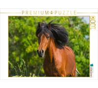 CALVENDO Puzzle Portrait d'un Poney Gallois 1000 Pieces 64 x 48 cm from Sista-Tierfoto
