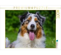 CALVENDO Puzzle Portrait of an Australian Shepherd | 1000 pieces, finished size