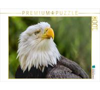 CALVENDO Puzzle Portrait of the bald eagle | 1000 pieces, finished size 25.2 × 1