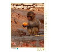 CALVENDO Puzzle Portraits d'animaux Mignons | 1000 pièces - Dimensions : 48 x 64 cm - Puzzle Photo pour des Heures de Bonheur