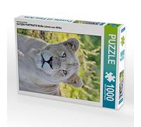 CALVENDO Puzzle Portraits DE Cat Lions Blancs d'Afrique 1000 Pieces 48 x 64 cm from Thula