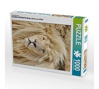 CALVENDO Puzzle Portraits DE Cat Lions Blancs d'Afrique 1000 Pieces 48 x 64 cm from Thula
