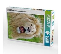 CALVENDO Puzzle Portraits DE Cat Lions Blancs d'Afrique 1000 Pieces 48 x 64 cm from Thula