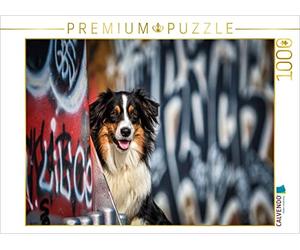 CALVENDO Puzzle Potrait d'un Berger Australien Devant Un Mur de Graffitis 1000 Pieces 64 x 48 cm from Yvonne Janetzek