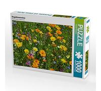 CALVENDO Puzzle Prairie de souci 1000 Pieces 64 x 48 cm from Claudia Kleemann