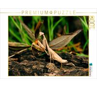 CALVENDO Puzzle Gottesanbeterin in Griechenland (Iris oratoria) 1000 Teile Puzzle quer 1000 Pieces 64 x 48 cm from Benny Trapp