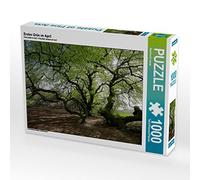 CALVENDO Puzzle Premier Vert en Avril 1000 Pieces 64 x 48 cm from Bernhard Loewa
