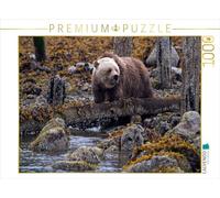 CALVENDO Puzzle première Recherche de Nourriture | 1000 pièces 64 x 48 cm Puzzle Photo pour des Heures heureuses