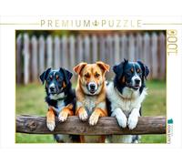 CALVENDO Puzzle Prendre Soin de la clôture | 1000 pièces Taille de la Pose 64 x 48 cm Puzzle Photo pour des Heures heureuses