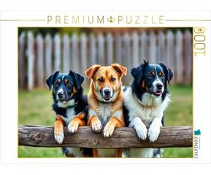 CALVENDO Puzzle Prendre Soin de la clôture | 1000 pièces Taille de la Pose 64 x 48 cm Puzzle Photo pour des Heures heureuses
