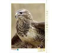 CALVENDO Puzzle Pride | 1000 pieces, finished size 25.2 × 18.9 in (64 × 48 cm) |