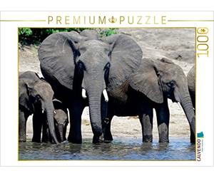 CALVENDO Puzzle Proboscidiens - éléphants d'Afrique 1000 Pieces 64 x 48 cm from Gerald Wolf
