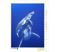 CALVENDO Puzzle Proud Humpback Whale Mother | 1000 pieces, finished size 25.2 ×