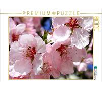 CALVENDO Puzzle Prunus dulcis var. Amara -L'amandier Rose en Fleur sur la Route des vins Allemande 1000 Pieces 64 x 48 cm from Sulamay Fillinger Fotografie
