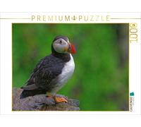 CALVENDO Puzzle Macareux Moine 1000 Pieces 64 x 48 cm from Gerald Wolf