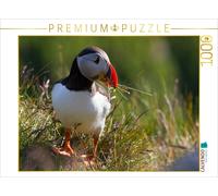 CALVENDO Puzzle Puffin | 1000 pieces, finished size 25.2 × 18.9 in (64 × 48 cm)