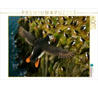 CALVENDO Puzzle Puffin in flight on the cliff | 1000 pieces, finished size 25.2