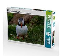 CALVENDO Puzzle Puffins Clowns des Mers 1000 Pieces 64 x 48 cm from Leon Uppena