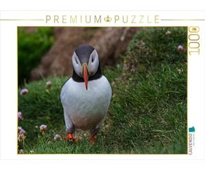 CALVENDO Puzzle Puffins Clowns des Mers 1000 Pieces 64 x 48 cm from Leon Uppena
