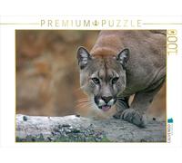 CALVENDO Puzzle Puma 1000 Pieces 64 x 48 cm from Martina Berg