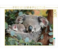 CALVENDO Puzzle Pure koala cuddling | 1000 pieces, finished size 25.2 × 18.9 in