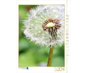 CALVENDO Puzzle Pusteblume 1000 Teile Puzzle Hoch 1000 Pieces 48 x 64 cm from Anja Otto