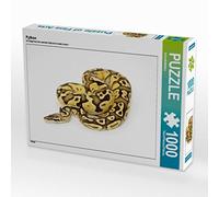 CALVENDO Puzzle Python 1000 Teile Puzzle quer 1000 Pieces 64 x 48 cm from SchnelleWelten